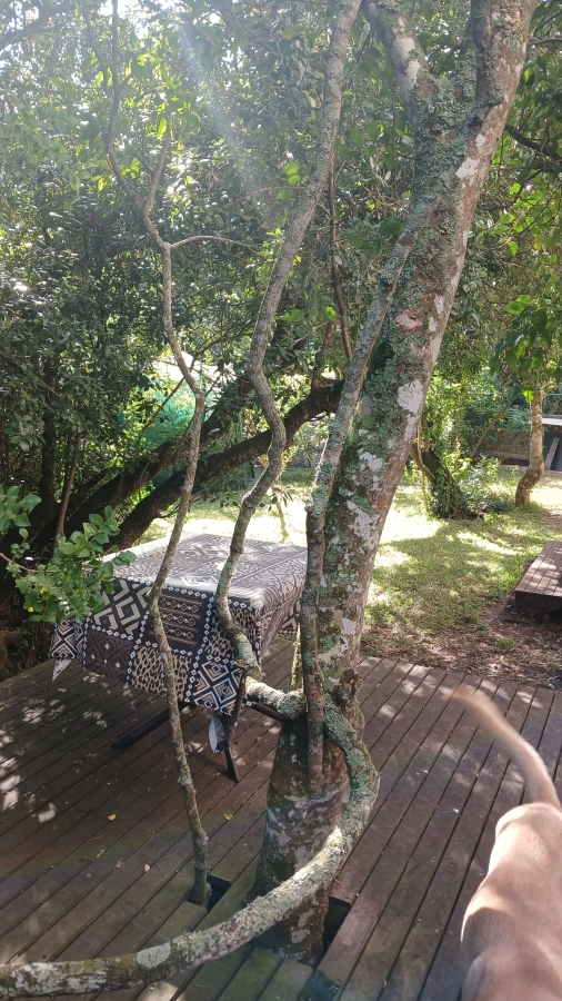 To Let 2 Bedroom Property for Rent in Walmer Heights Eastern Cape